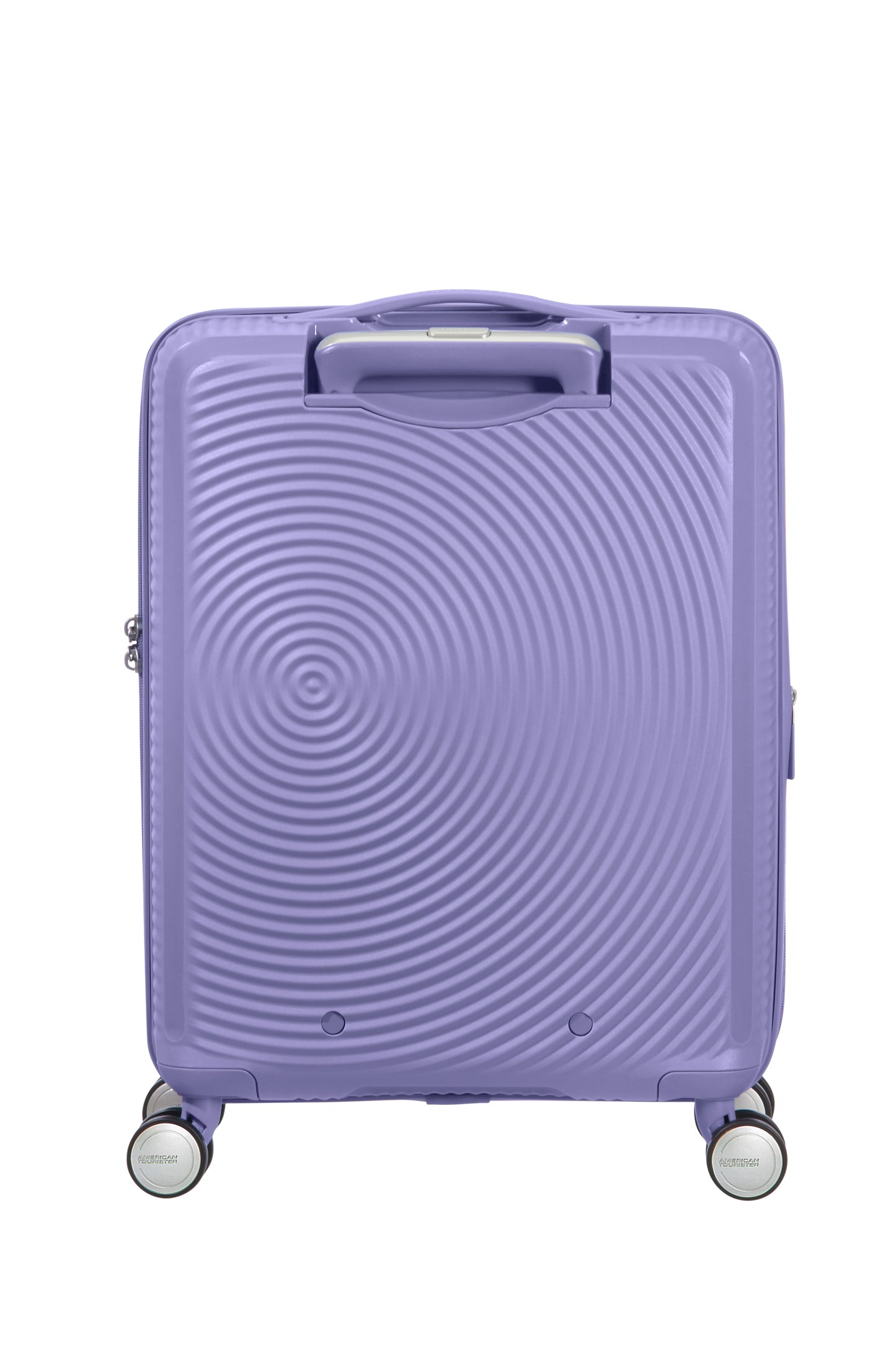 Lavander