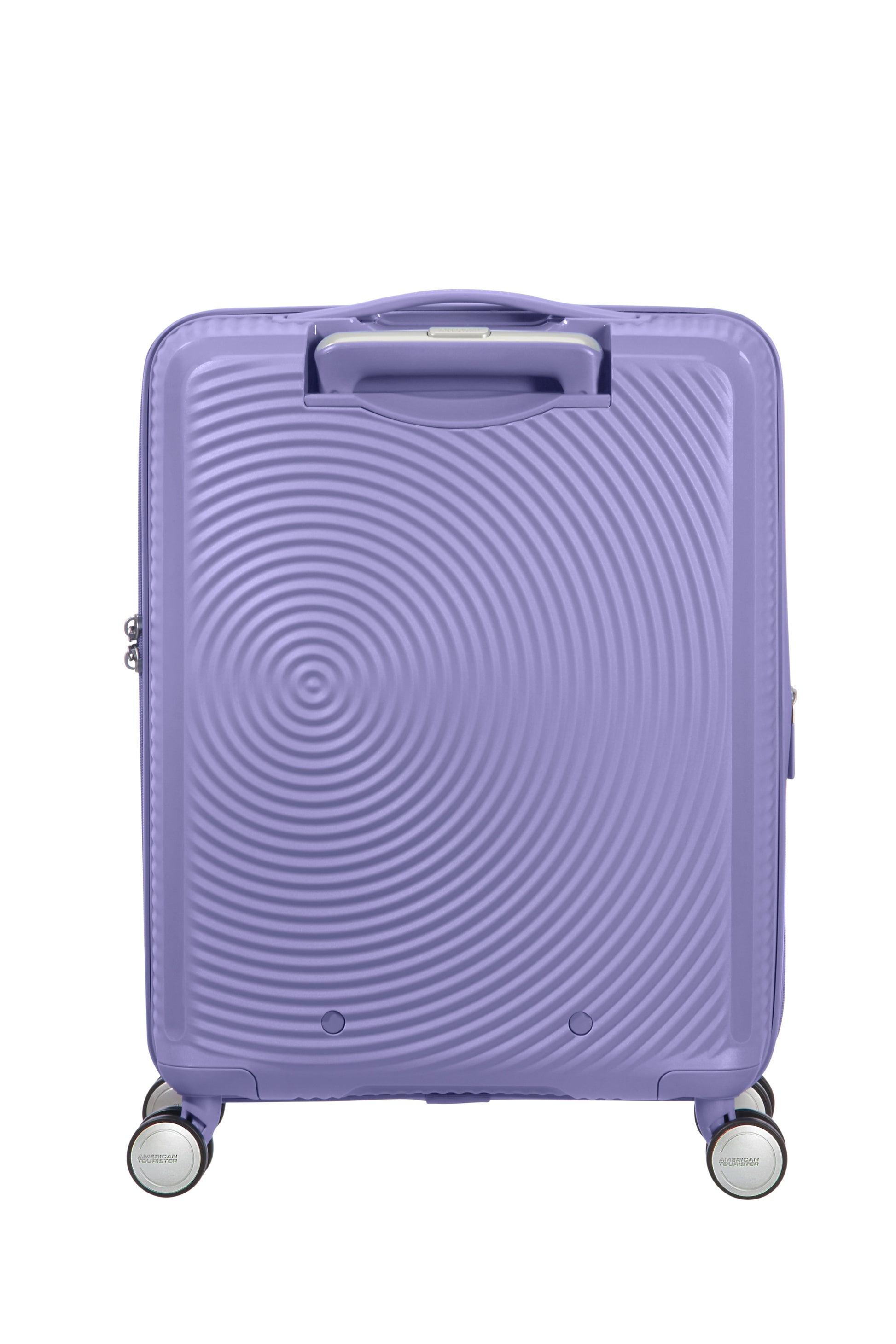 Lavander