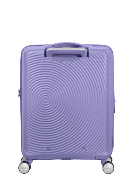 Lavander