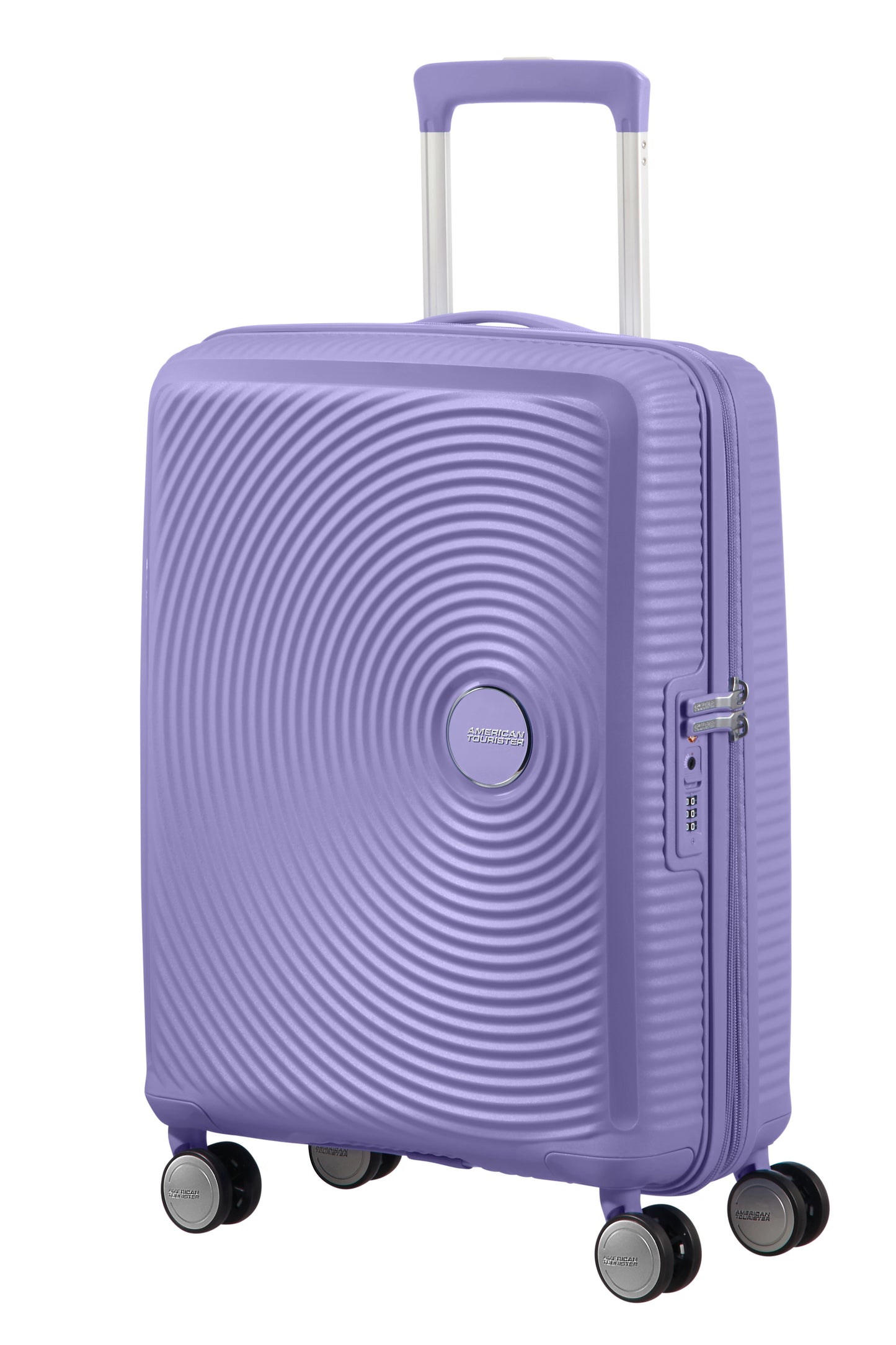 Lavander