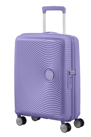 Lavander