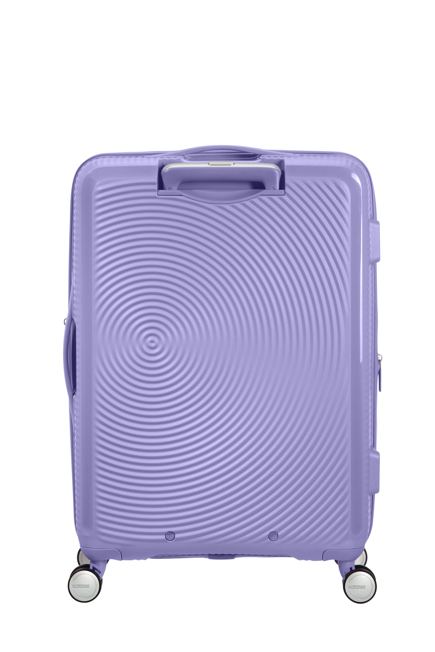 Lavander