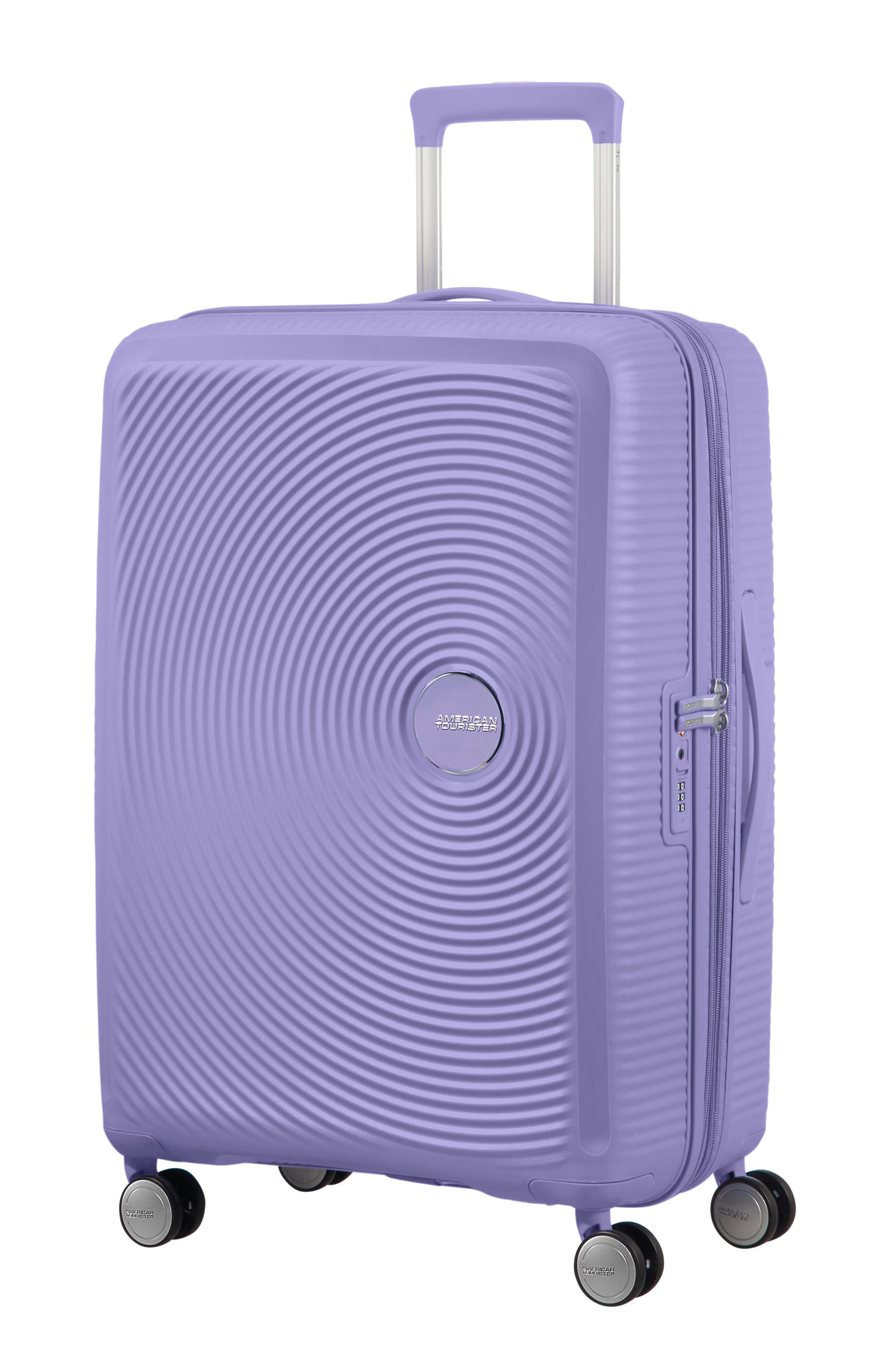 Lavander