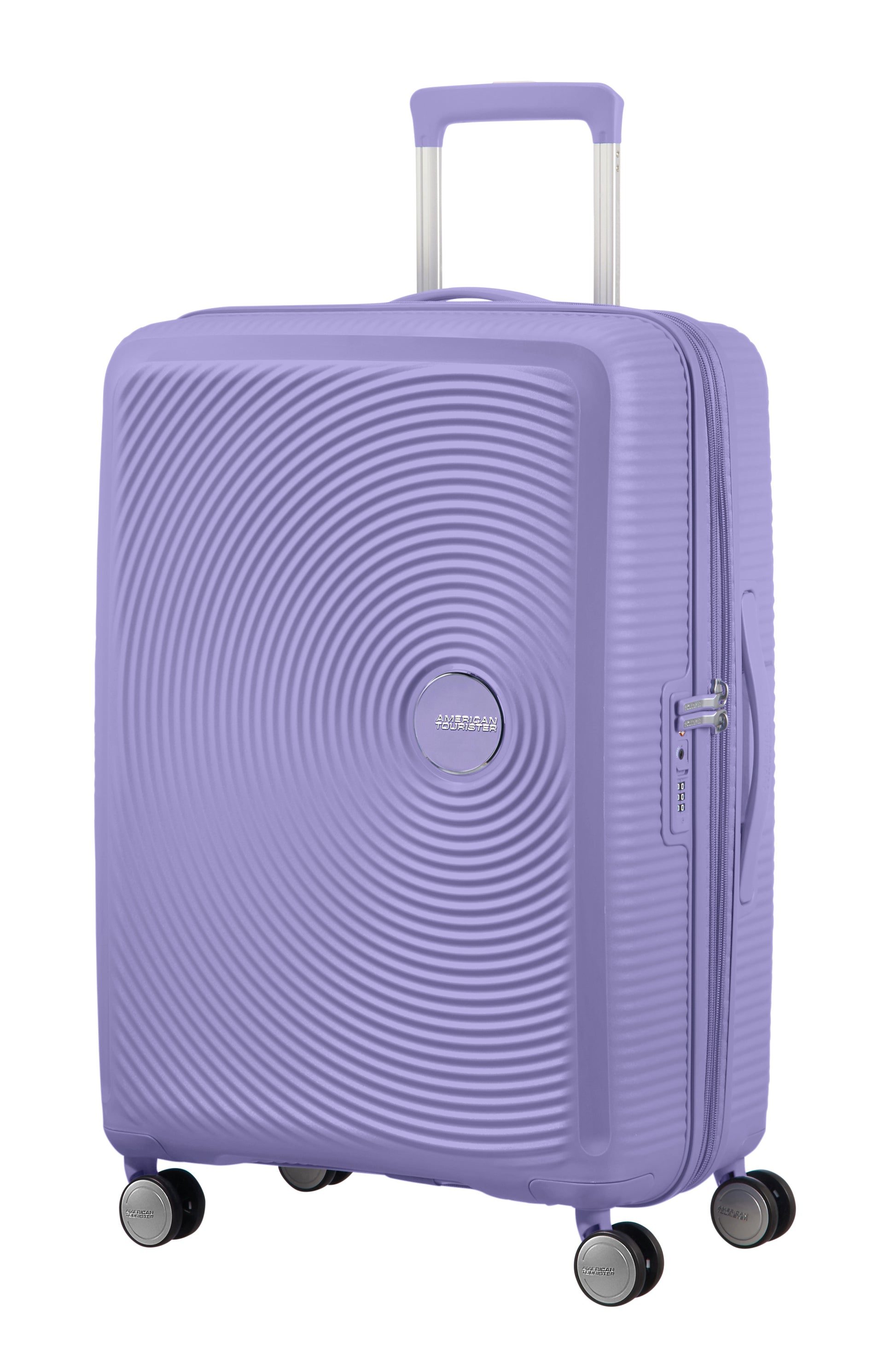 Lavander