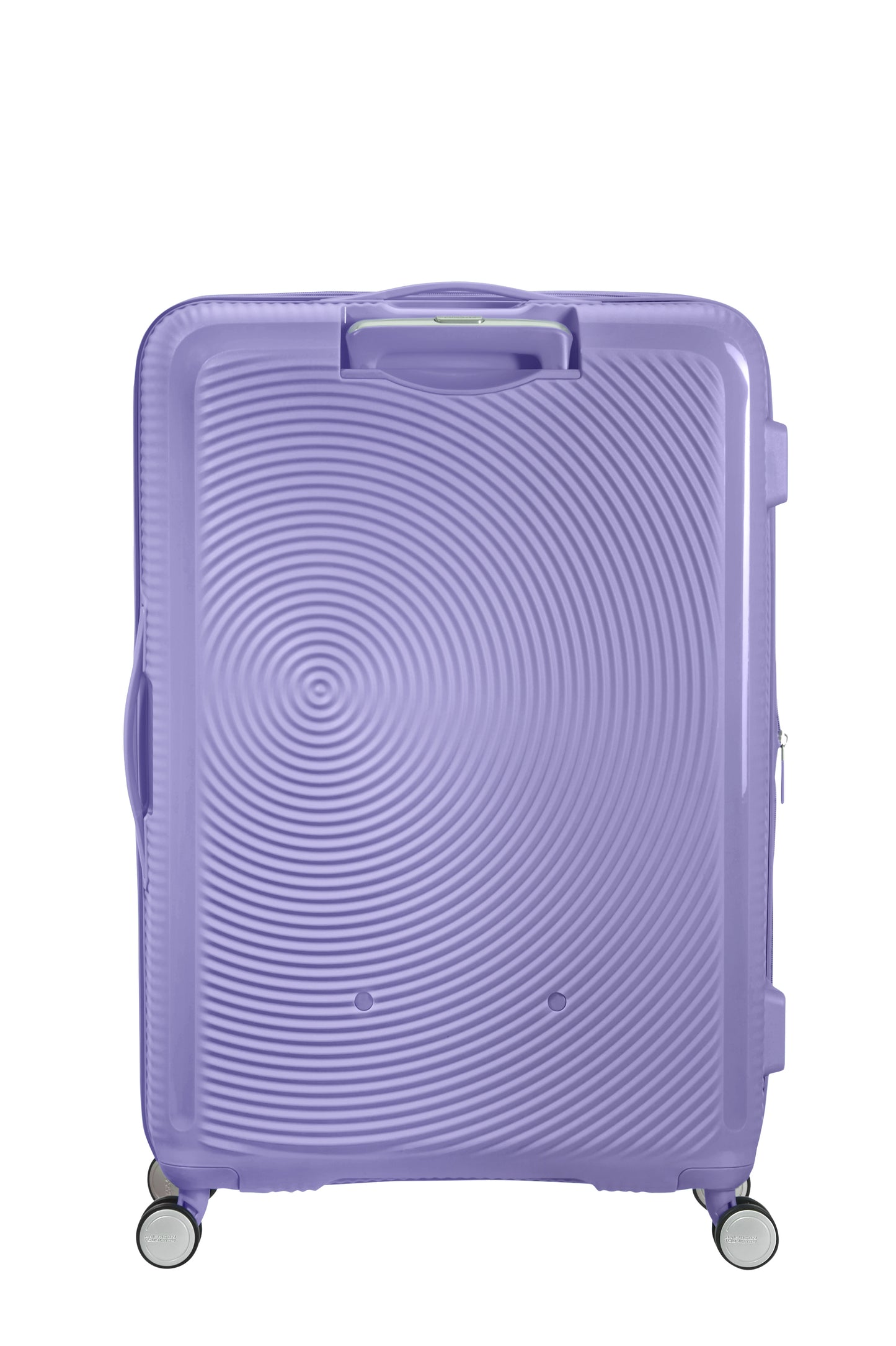 Lavander