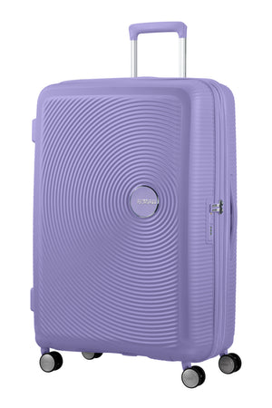 Lavander