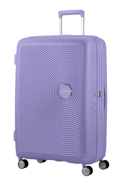 Lavander