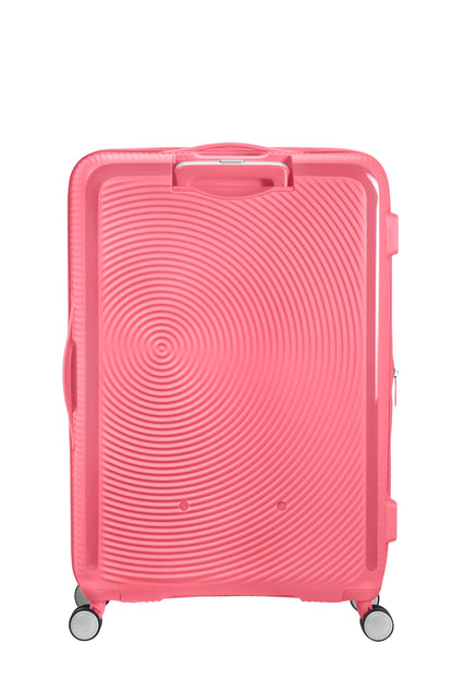 Sun Kissed Coral